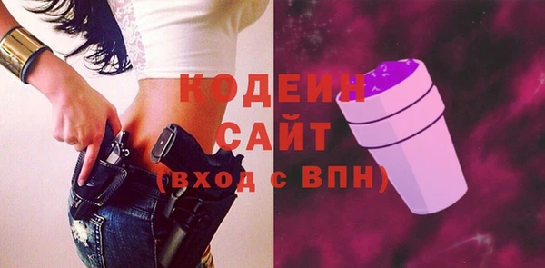 индика Горно-Алтайск