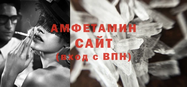 амф Горняк