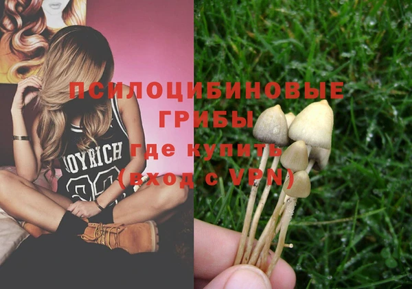 трава Гусев