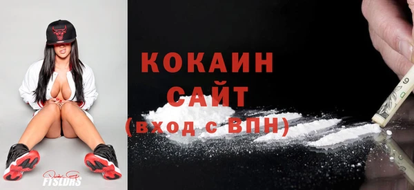 амф Горняк