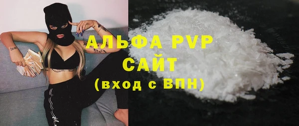 индика Горно-Алтайск