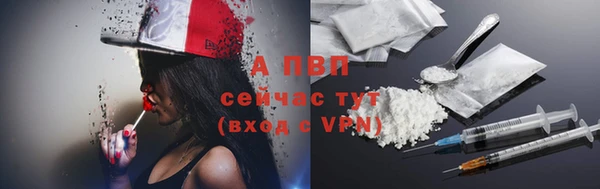 амф Горняк