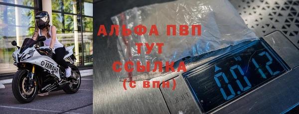 амф Горняк