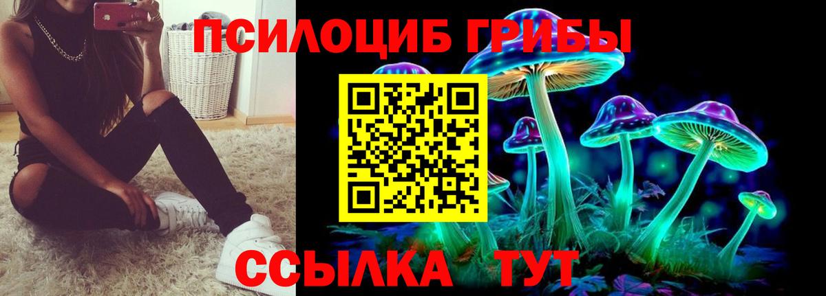 Галлюциногенные грибы Magic Shrooms  Вход с VPN  Медногорск 